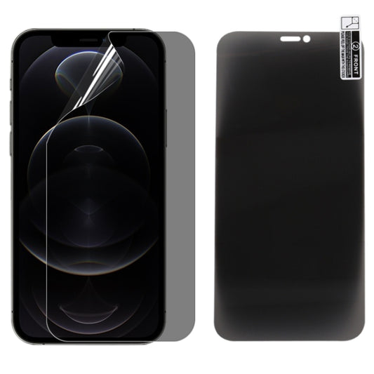 For iPhone 12 Pro 0.1mm 2.5D Full Cover Anti-spy Screen Protector Explosion-proof Hydrogel Film - iPhone 12 / 12 Pro Tempered Glass by buy2fix | Online Shopping UK | buy2fix