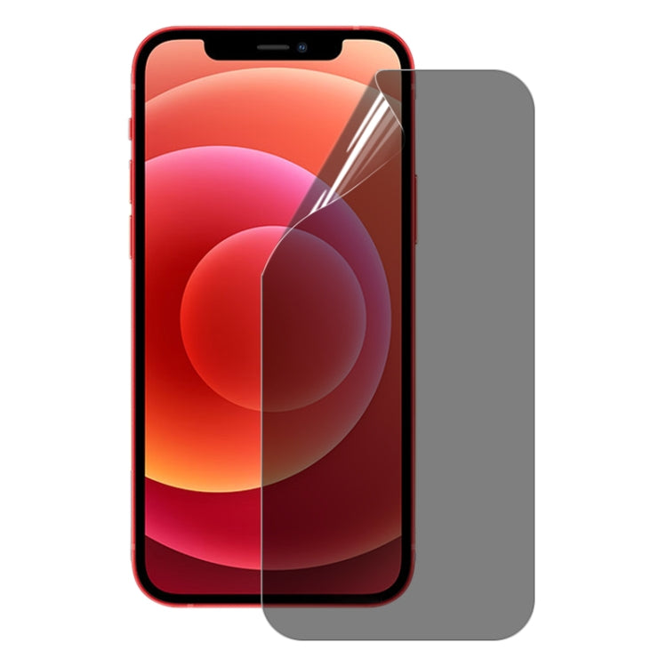 For iPhone 12 mini 25pcs 0.1mm 2.5D Full Cover Anti-spy Screen Protector Explosion-proof Hydrogel Film - iPhone 12 mini Tempered Glass by buy2fix | Online Shopping UK | buy2fix
