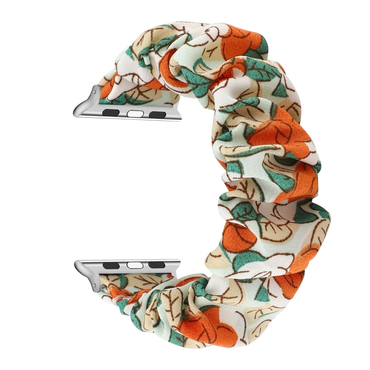 Fabric Hair Ring Watch Band For Apple Watch Series 9&8&7 41mm / SE 3&SE 2&6&SE&5&4 40mm / 3&2&1 38mm(4) by buy2fix