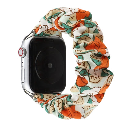 Fabric Hair Ring Watch Band For Apple Watch Series 9&8&7 41mm / SE 3&SE 2&6&SE&5&4 40mm / 3&2&1 38mm(4) by buy2fix