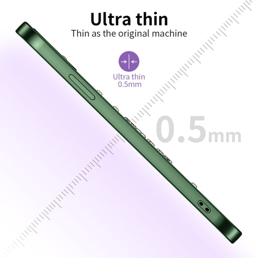 For iPhone 11 Ultra-thin Electroplating Dandelion Pattern Protective Case (Dark Green) - iPhone 11 Cases by buy2fix | Online Shopping UK | buy2fix