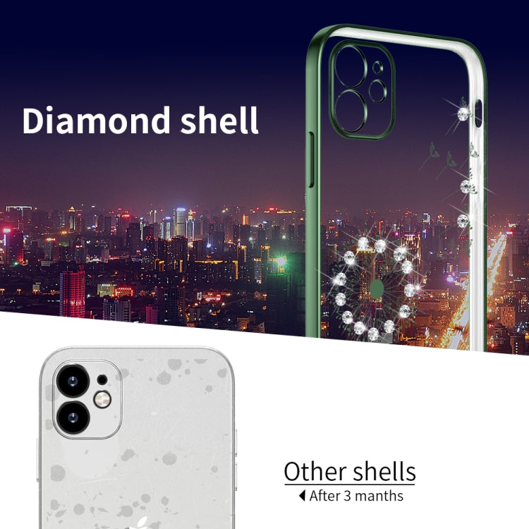 For iPhone 11 Ultra-thin Electroplating Dandelion Pattern Protective Case (Dark Green) - iPhone 11 Cases by buy2fix | Online Shopping UK | buy2fix