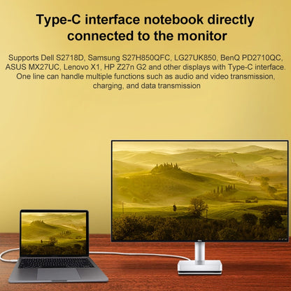 USB-C / Type-C Male to USB-C / Type-C Male Full-function Data Cable, Cable Length:2m by buy2fix