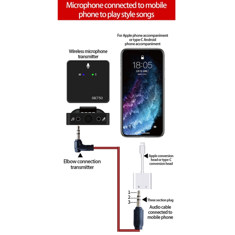 SK750 Type-C Charging One for One Wireless Lavalier Mini Microphone(Black) - Microphone by buy2fix | Online Shopping UK | buy2fix