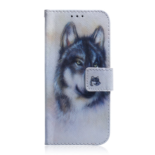For Infinix Hot 11S NFC X6812B Coloured Drawing Leather Phone Case(White Wolf) - Infinix Cases by buy2fix | Online Shopping UK | buy2fix