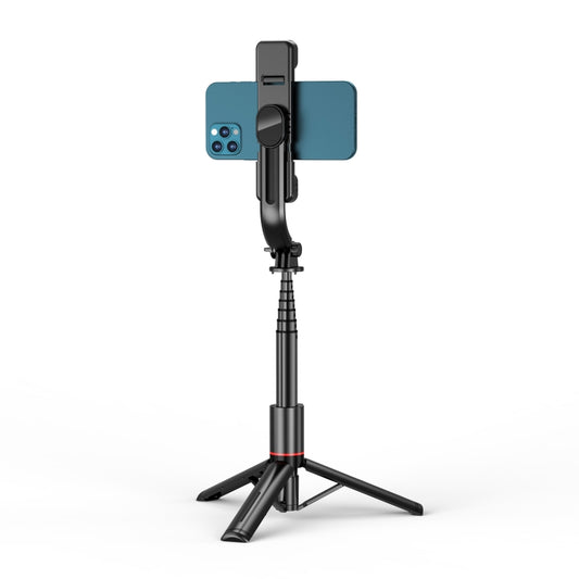 L12D Bluetooth Remote Control Detachable Fill Light Tripod Selfie Stick Phone Holder - Selfie Sticks by buy2fix | Online Shopping UK | buy2fix