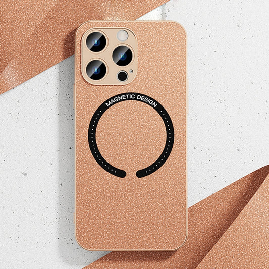 For iPhone 11 Pro Max Leather Electroplated Magsafe Case (Gold) - iPhone 11 Pro Max Cases by buy2fix | Online Shopping UK | buy2fix