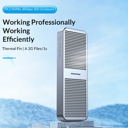 ORICO FV25C3-G2-SV 10Gbps USB3.2 Gen2 Type-C M.2 NVMe/NGFF(SATA) Dual Protocol SSD Enclosure(Silver) by ORICO