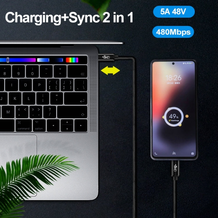 PD240W USB-C / Type-C to Type-C Fast Charging Data Cable, Length:2m(Black) by buy2fix