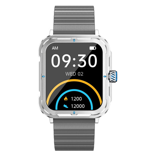 D09 1.9 inch TFT Square Screen Smart Watch Supports Blood Pressure Monitoring(Blue) by buy2fix