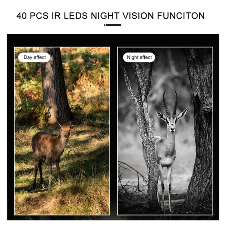 H888WIFI 4K Resolution 2.4 inch TFT Screen WIFI Hunting Trail Camera by buy2fix