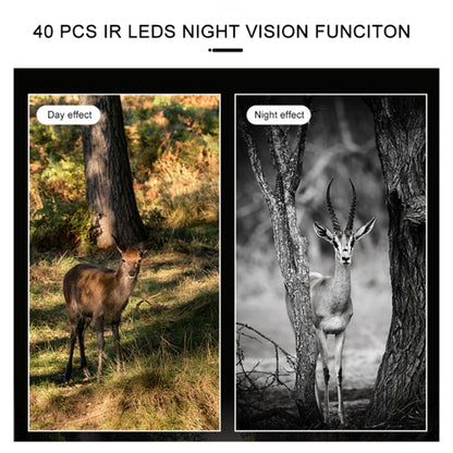 H888WIFI 4K Resolution 2.4 inch TFT Screen WIFI Hunting Trail Camera by buy2fix