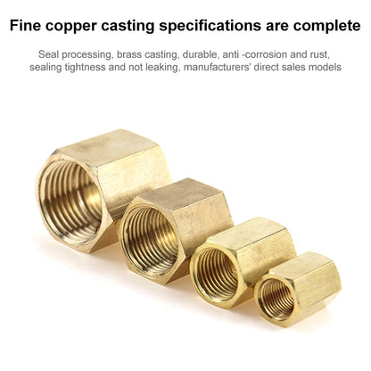 LAIZE 10pcs Internal Reducer Internal Thread External Thread, Caliber:1 Point by buy2fix