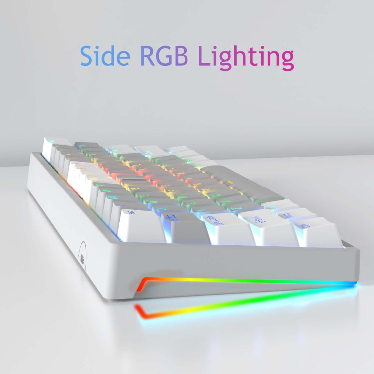 AULA F3261 Type-C Wired Hot Swappable 61 Keys RGB Mechanical Keyboard(Black Grey Tea Shaft) by AULA