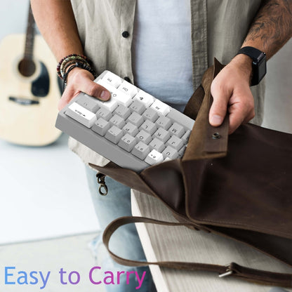 AULA F3261 Type-C Wired Hot Swappable 61 Keys RGB Mechanical Keyboard(Black Grey Tea Shaft) by AULA