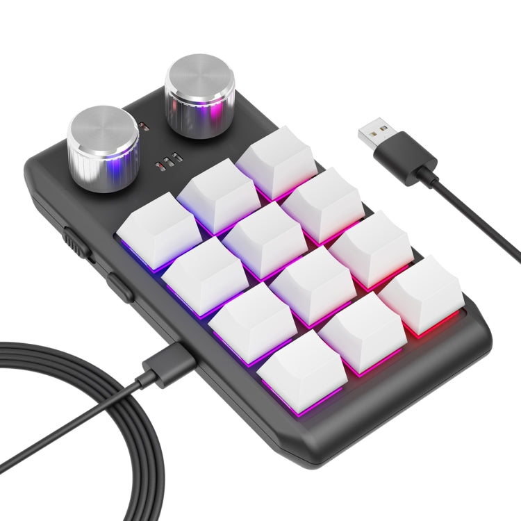 USB Wired 12KV2 MOLD Mini Mechanical 12 Keys 2 Knob Custom Programming Keyboard(White) by buy2fix