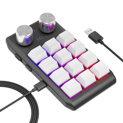 USB Wired 12KV2 MOLD Mini Mechanical 12 Keys 2 Knob Custom Programming Keyboard(White) by buy2fix