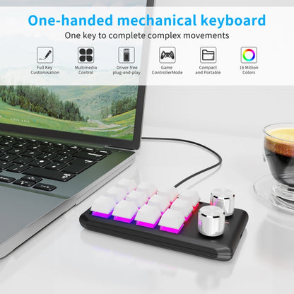 USB Wired 12KV2 MOLD Mini Mechanical 12 Keys 2 Knob Custom Programming Keyboard(White) by buy2fix