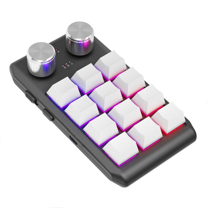 Bluetooth Wireless 12KV2 MOLD Mini Mechanical 12 Keys 2 Knob Custom Programming Keyboard(White) by buy2fix