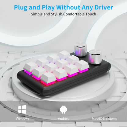 Bluetooth Wireless 12KV2 MOLD Mini Mechanical 12 Keys 2 Knob Custom Programming Keyboard(White) by buy2fix
