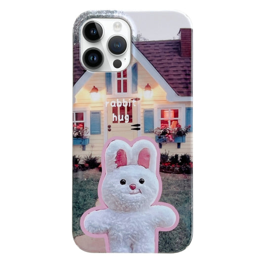 For iPhone 12 Pro Painted Pattern PC Phone Case(Bunny Hug) - iPhone 12 / 12 Pro Cases by buy2fix | Online Shopping UK | buy2fix