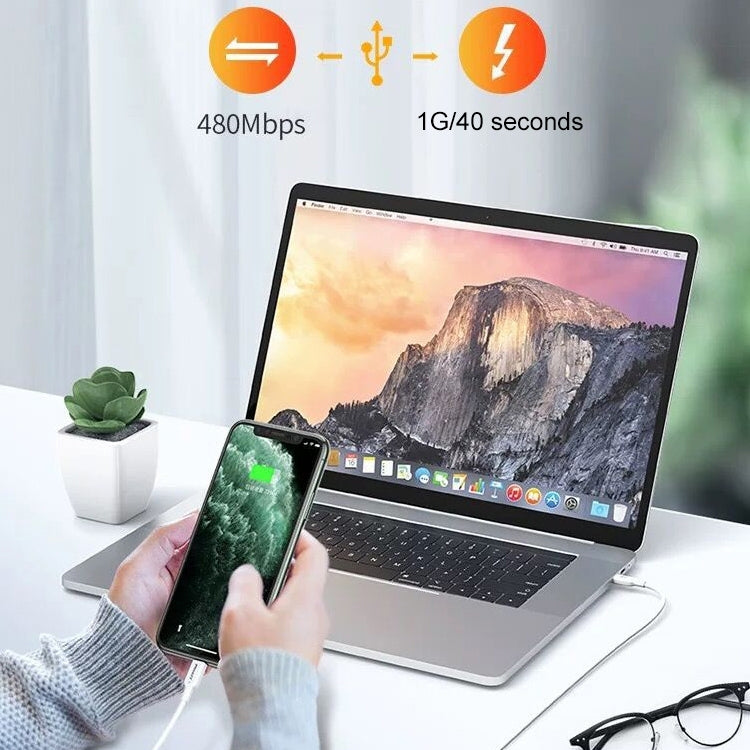 PISEN 1m 3.0A Type-C to 8 Pin PD Fast Charging Cable by buy2fix