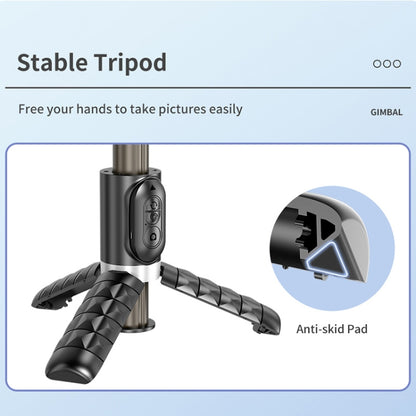 Q18 Desktop Intelligent Tracking Gimbal Stabilizer Multi-function Fill Light Selfie Stick(Black) by buy2fix