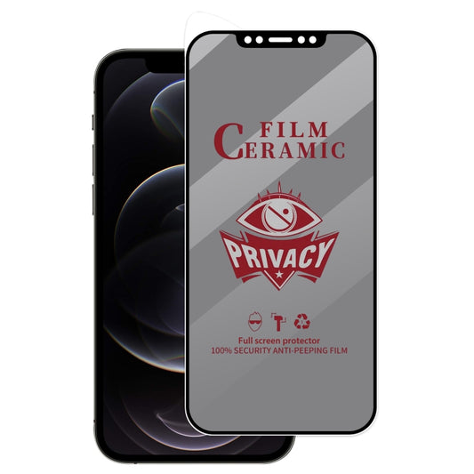 For iPhone 12 / 12 Pro Full Coverage HD Privacy Ceramic Film Grey - iPhone 12 / 12 Pro Tempered Glass by buy2fix | Online Shopping UK | buy2fix