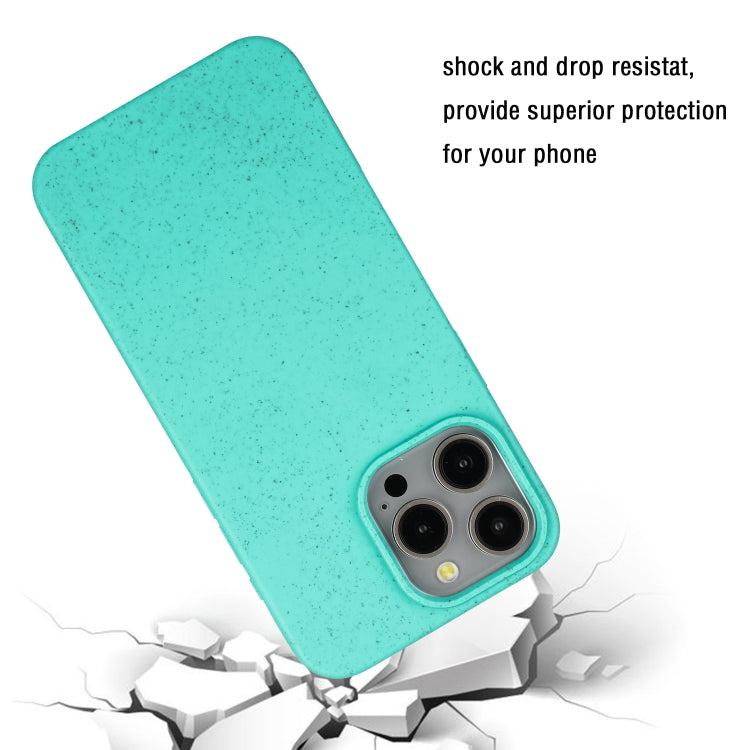 For iPhone 15 Pro Max Wheat MagSafe Magnetic Straw Material + TPU Phone Case(Green) by buy2fix