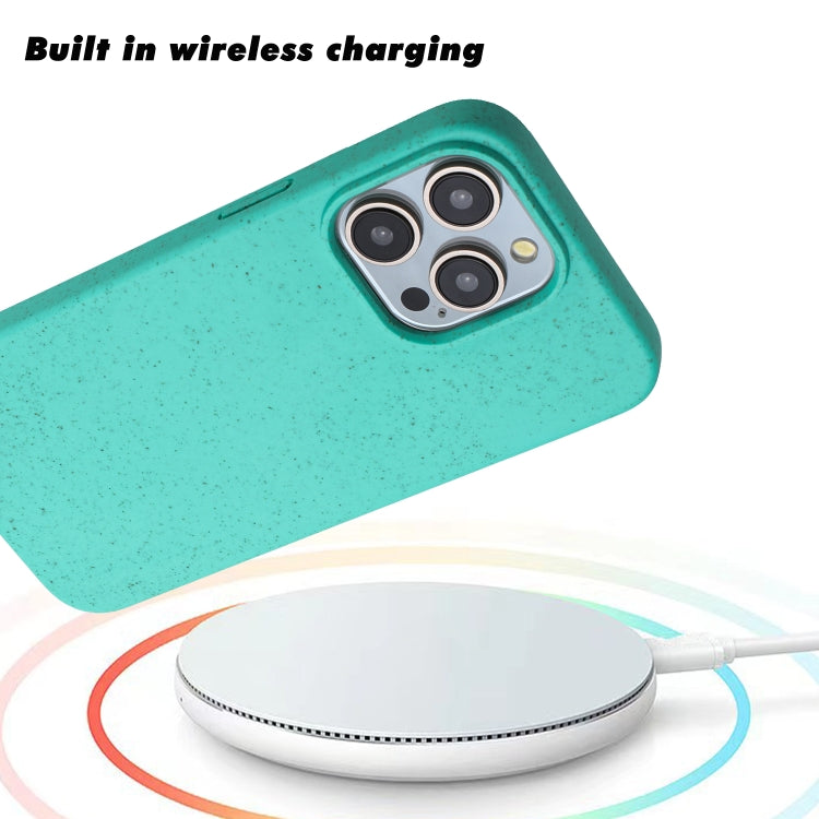 For iPhone 15 Pro Max Wheat MagSafe Magnetic Straw Material + TPU Phone Case(Green) by buy2fix
