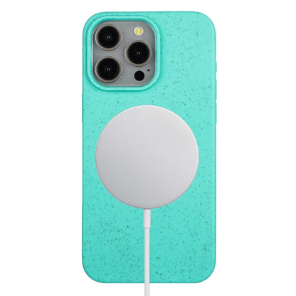 For iPhone 15 Pro Wheat MagSafe Magnetic Straw Material + TPU Phone Case(Green) - iPhone 15 Pro Cases by buy2fix | Online Shopping UK | buy2fix