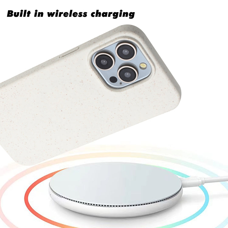 For iPhone 11 Pro Max Wheat MagSafe Magnetic Straw Material + TPU Phone Case(White) by buy2fix
