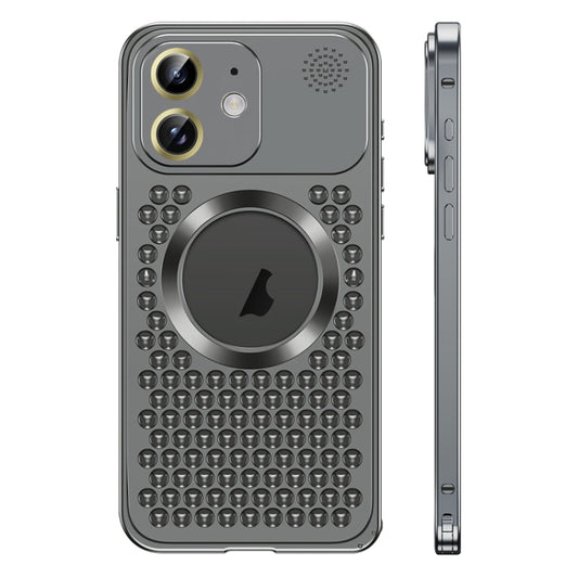 For iPhone 12 Spring Buckle MagSafe Magnetic Metal Aromatherapy Phone Case(Black) by buy2fix