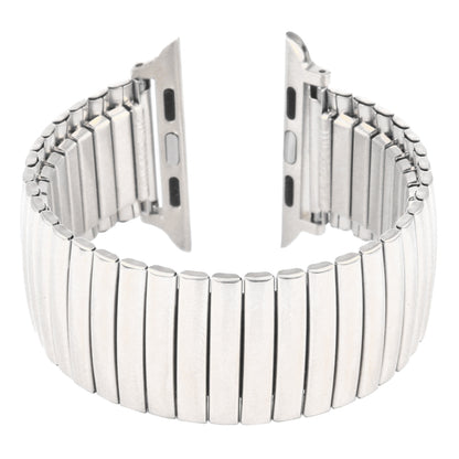 Elastic Aluminum Watch Band For Apple Watch Series 7 45mm / 6 & SE & 5 & 4 44mm / 3 & 2 & 1 42mm(Silver) - Watch Bands by buy2fix | Online Shopping UK | buy2fix