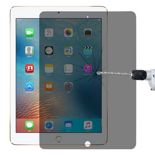 0.33mm 9H 2.5D Privacy Anti-glare Explosion-proof Tempered Glass Film for iPad 9.7 (2018)/(2017) & Pro 9.7 & Air 2 & Air - More iPad Tempered Glass by buy2fix | Online Shopping UK | buy2fix