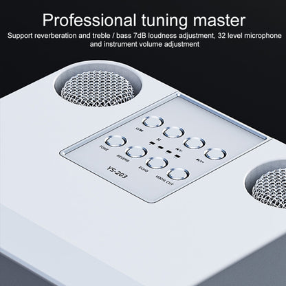 YS-203 Bluetooth Karaoke Speaker Wireless Microphone(Silver) - Microphone by buy2fix | Online Shopping UK | buy2fix