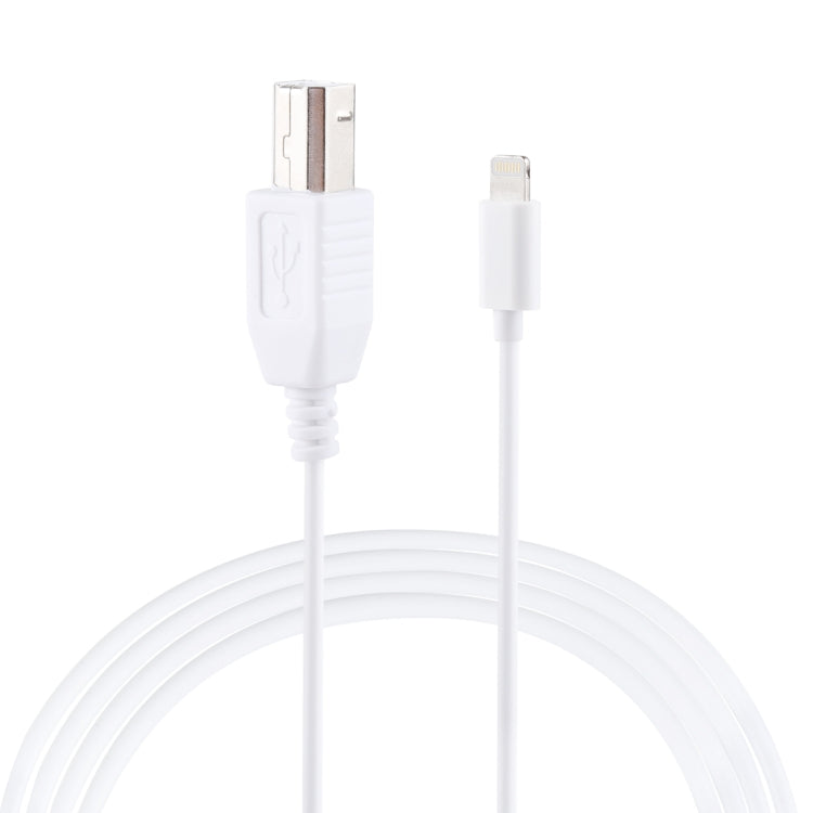 1m 8 Pin to Type-B Male Piano / Electronic Piano Cable MIDI Cable Adapter(White) - Multifunction Cable by buy2fix | Online Shopping UK | buy2fix