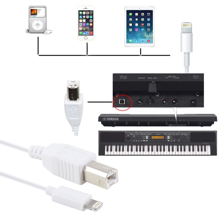 1m 8 Pin to Type-B Male Piano / Electronic Piano Cable MIDI Cable Adapter(White) - Multifunction Cable by buy2fix | Online Shopping UK | buy2fix