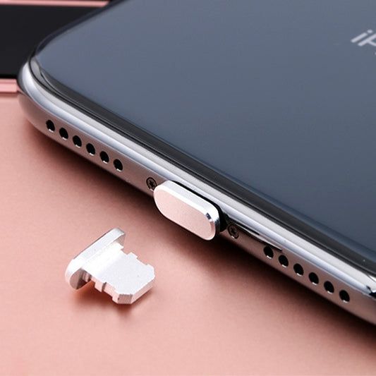 2pcs Universal 8 Pin Charging Port Metal Anti-Dust Plug for iPhone(Space Silver) - Anti-dust & Ear Caps by buy2fix | Online Shopping UK | buy2fix