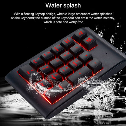 MC Saite 529 19 Keys Wired Three-color Backlight Numeric Keyboard by MC Saite
