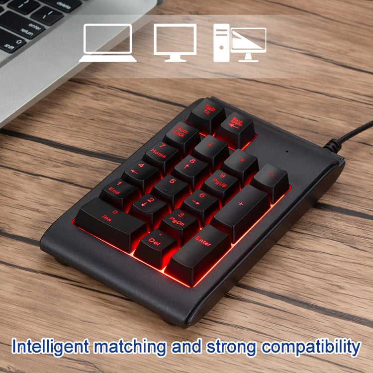 MC Saite 529 19 Keys Wired Three-color Backlight Numeric Keyboard by MC Saite