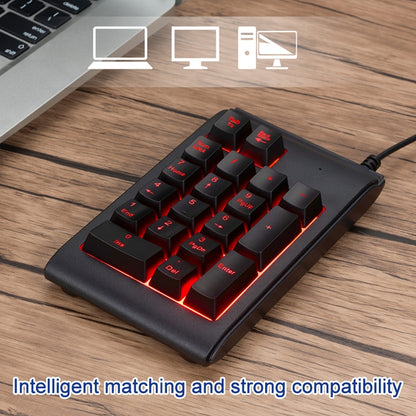 MC Saite 529 19 Keys Wired Three-color Backlight Numeric Keyboard by MC Saite