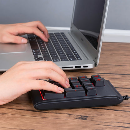 MC Saite 529 19 Keys Wired Three-color Backlight Numeric Keyboard by MC Saite