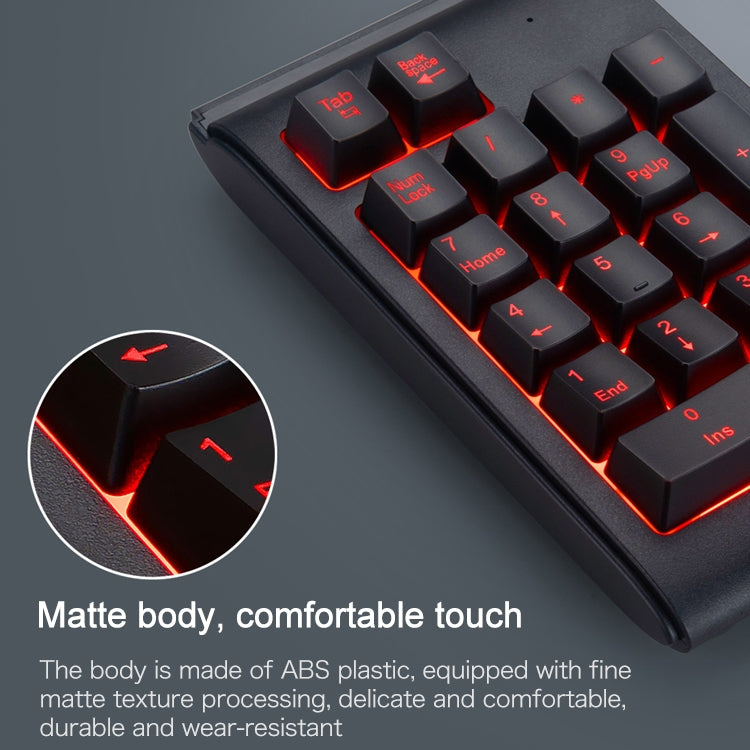 MC Saite 529 19 Keys Wired Three-color Backlight Numeric Keyboard by MC Saite