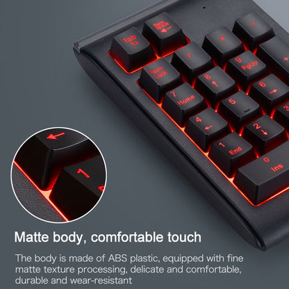 MC Saite 529 19 Keys Wired Three-color Backlight Numeric Keyboard by MC Saite