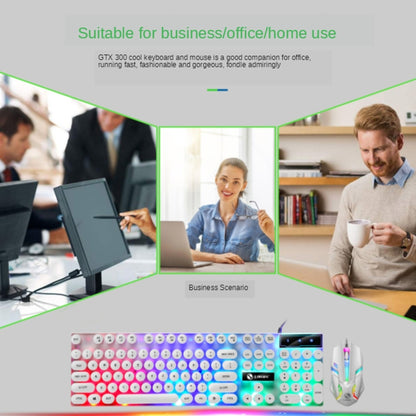 TX300 Mechanical Feel Backlight Punk Wired Keyboard Mouse Set (Black) by buy2fix