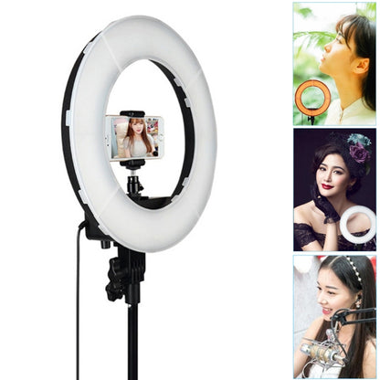 12 Inch Anchor Photography Self-timer LED Ring Fill-in Light - Ring Light by buy2fix | Online Shopping UK | buy2fix