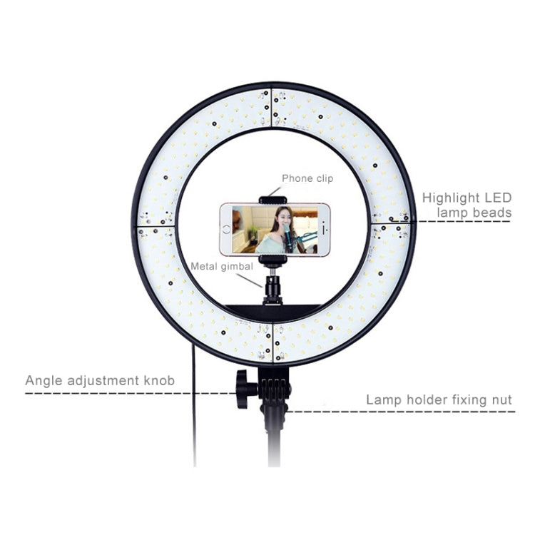 12 Inch Anchor Photography Self-timer LED Ring Fill-in Light - Ring Light by buy2fix | Online Shopping UK | buy2fix
