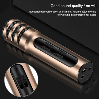 BGN-C7 Condenser Microphone Dual Mobile Phone Karaoke Live Singing Microphone Built-in Sound Card(Gold) - Microphone by buy2fix | Online Shopping UK | buy2fix