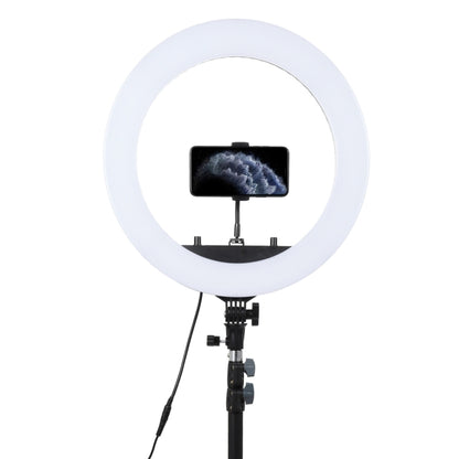 18 inch 55W Two-speed Dimmable Anchor Photography Self-timer LED Ring Fill-in Light with Tripod - Ring Light by buy2fix | Online Shopping UK | buy2fix